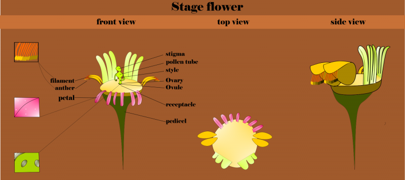 g34050.png g34050.png