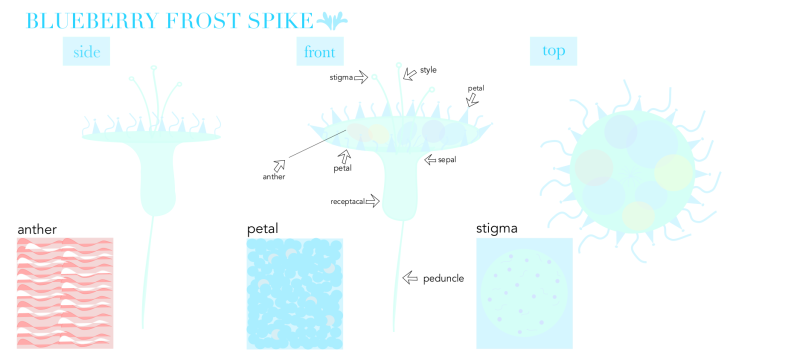 larissa-fantasticflower-infographic.png larissa-fantasticflower-infographic.png