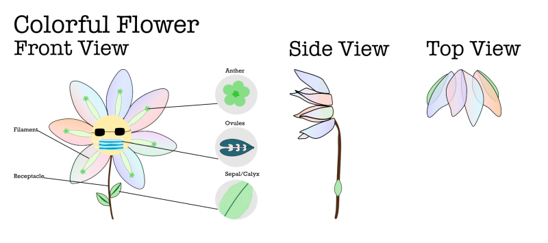 yuna-fantasticflower-infographic.png yuna-fantasticflower-infographic.png