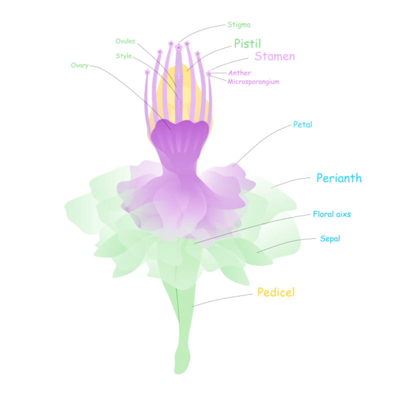 fantasticflower_second_version.png fantasticflower_second_version.png