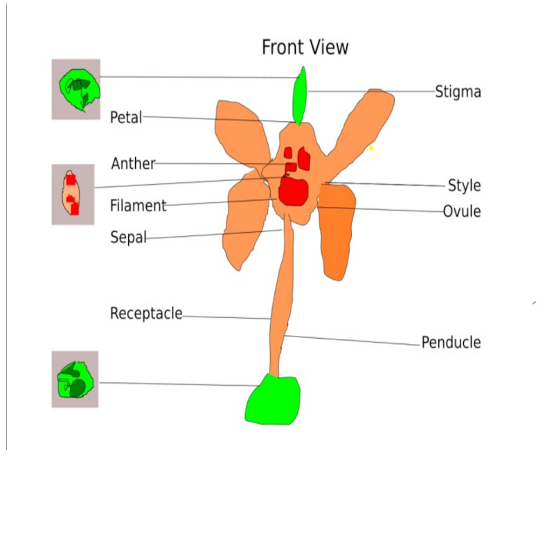 lucas-tam-dg-sq.png lucas-tam-dg-sq.png