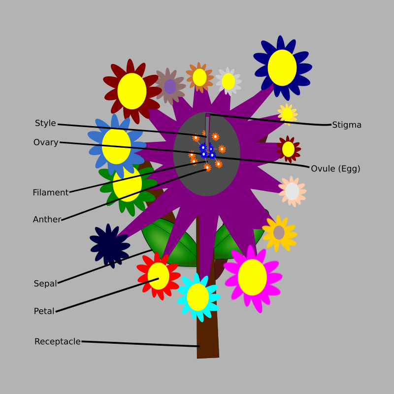 steve-wang-ffi-sq.png steve-wang-ffi-sq.png