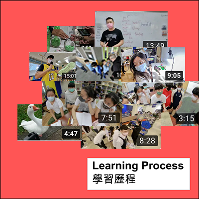 Learning Process