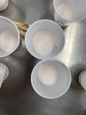 steve_img-6053.jpg steve_img-6053.jpg