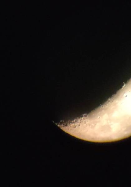 141147.jpg 141147.jpg