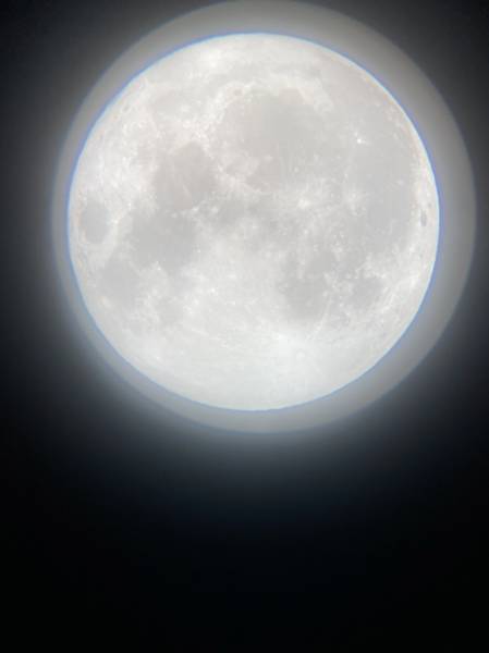 zoey-moon.jpg zoey-moon.jpg