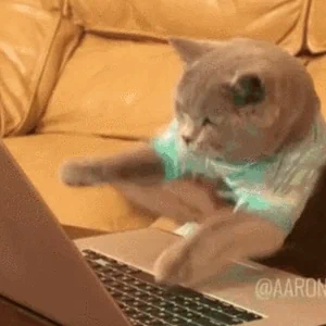 20250305-210238.png 20250305-210238.png