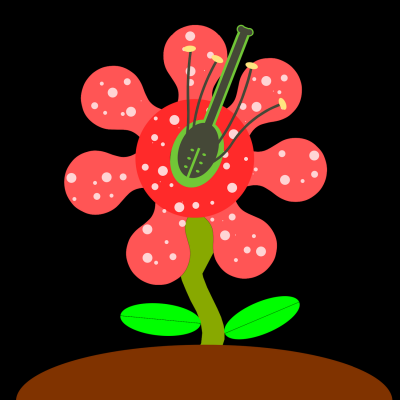 anna-yang-ff-sq.png anna-yang-ff-sq.png