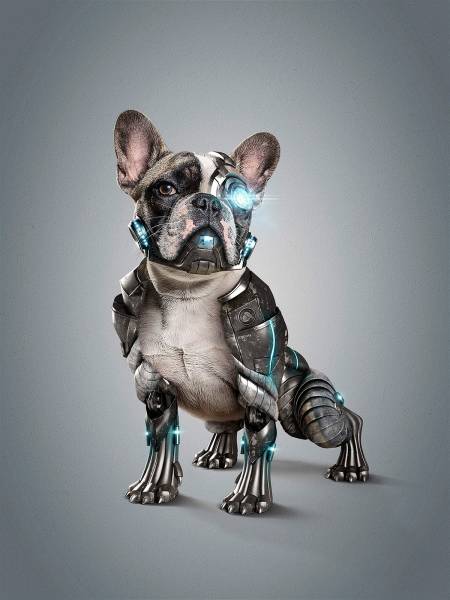 cyberdog.jpg cyberdog.jpg