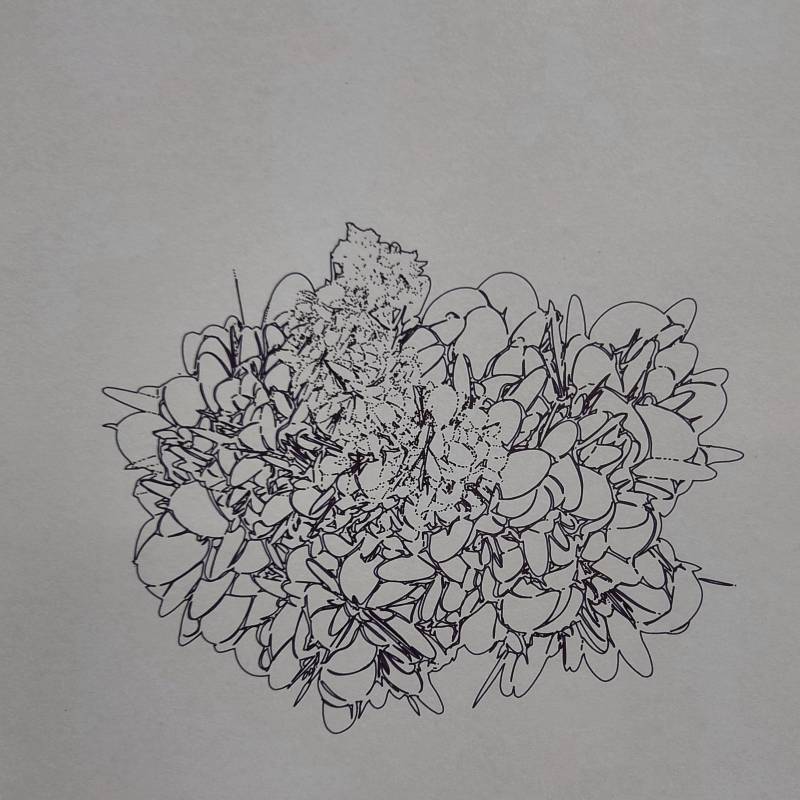 rb-port-01.jpg rb-port-01.jpg