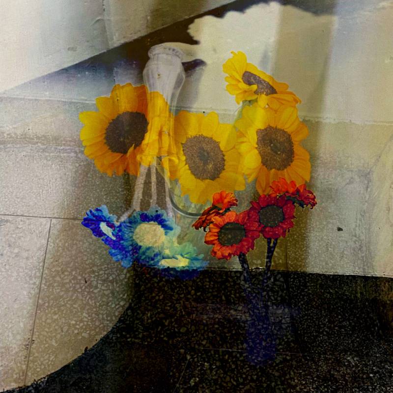 zoey-jimp-06.jpg zoey-jimp-06.jpg