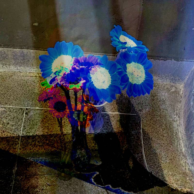 zoey-jimp-04.jpg zoey-jimp-04.jpg