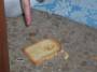 toast-on-the-floor-la_ley_de_murphy.jpg