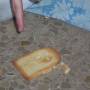 toast-on-the-floor-la_ley_de_murphy.jpg
