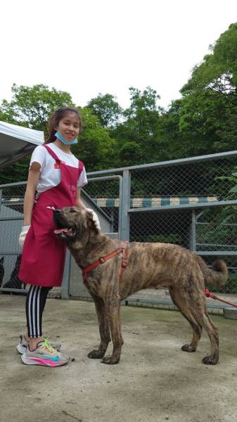 advocate2.jpg advocate2.jpg