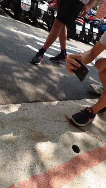 dayofdog9.jpg dayofdog9.jpg