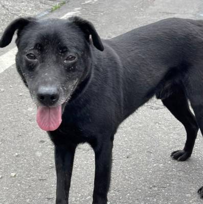 wally-02.jpg wally-02.jpg