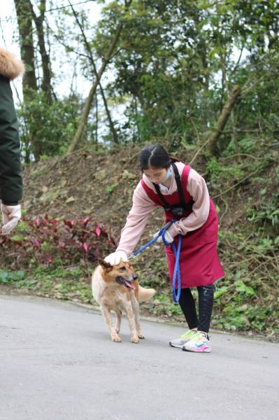 c765423f55695ab33ea365299a3fec301_4620693218523755588_210519_147.jpg c765423f55695ab33ea365299a3fec301_4620693218523755588_210519_147.jpg