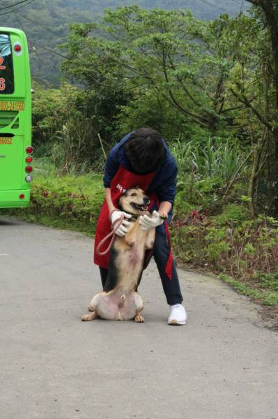 c765423f55695ab33ea365299a3fec301_4620693218523755588_210519_67.jpg c765423f55695ab33ea365299a3fec301_4620693218523755588_210519_67.jpg