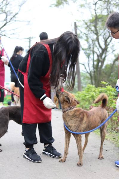 c765423f55695ab33ea365299a3fec301_4620693218523755588_210519_151.jpg c765423f55695ab33ea365299a3fec301_4620693218523755588_210519_151.jpg