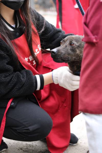 c765423f55695ab33ea365299a3fec301_4620693218523755588_210519_46.jpg c765423f55695ab33ea365299a3fec301_4620693218523755588_210519_46.jpg