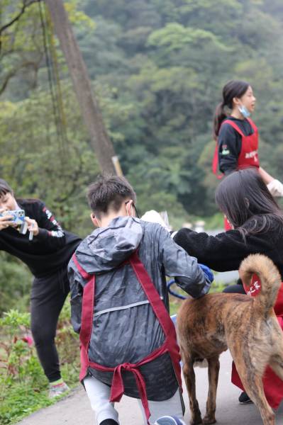 c765423f55695ab33ea365299a3fec301_4620693218523755588_210519_158.jpg c765423f55695ab33ea365299a3fec301_4620693218523755588_210519_158.jpg