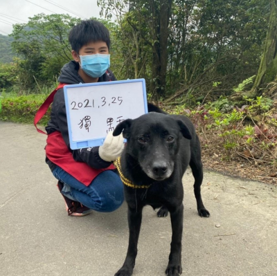 white_board_picture.png white_board_picture.png