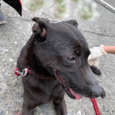 daisy-05.jpg daisy-05.jpg