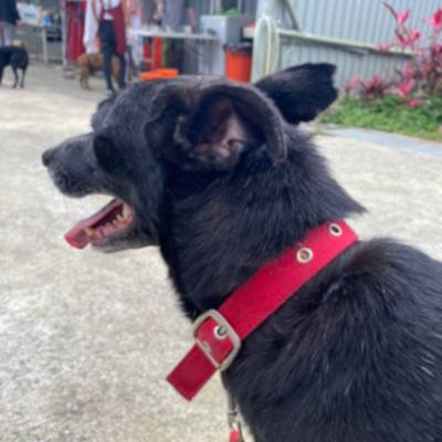 chocolatemilk-01.jpg chocolatemilk-01.jpg