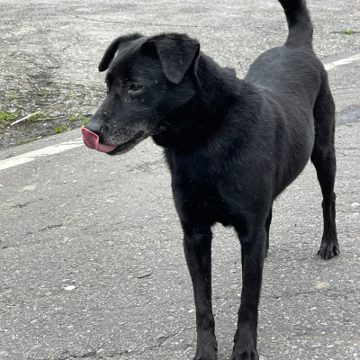 wally-01.png wally-01.png