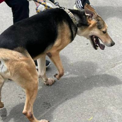 scott-03.jpg scott-03.jpg