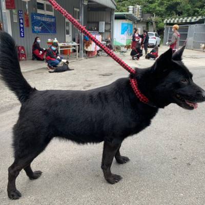 black-02.jpg black-02.jpg