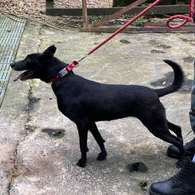 chocolatemilk-03.jpg chocolatemilk-03.jpg