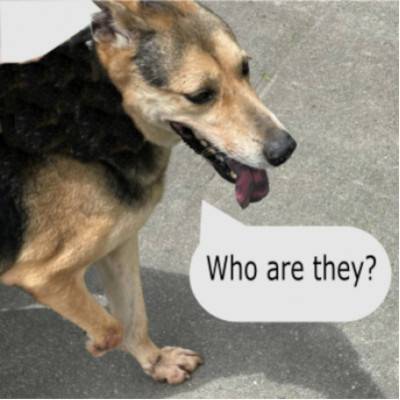 brendon-dog-ig-post-3..jpg brendon-dog-ig-post-3..jpg