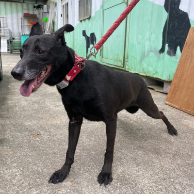 sp_2_f_4.png sp_2_f_4.png