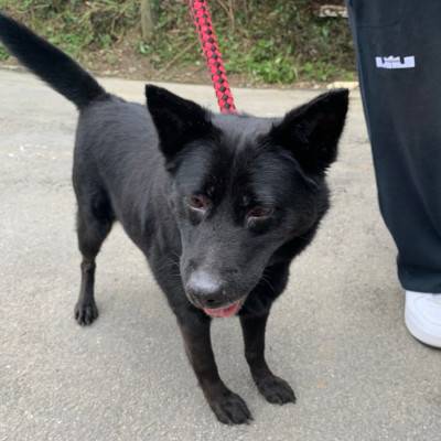 black-01.jpg black-01.jpg