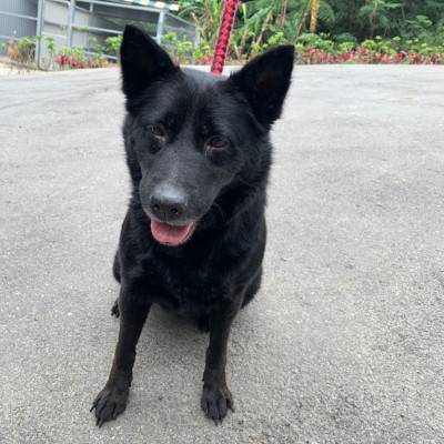 black-03.jpg black-03.jpg