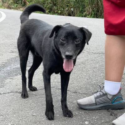 wally-03.jpg wally-03.jpg