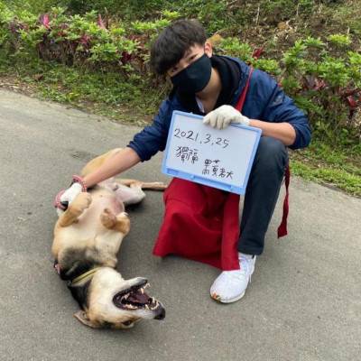 dog-number.jpg dog-number.jpg