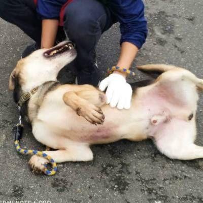 scott-02.jpg scott-02.jpg