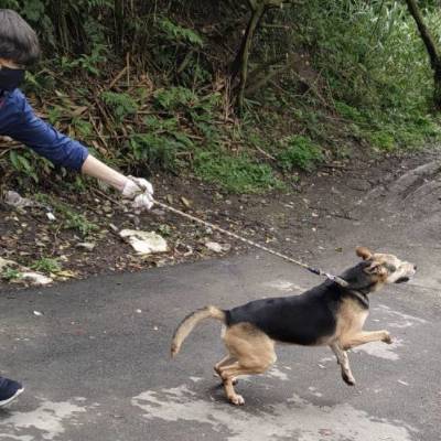 scott-01.jpg scott-01.jpg