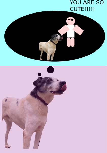 dog3.png dog3.png