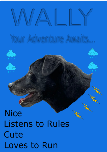 dog-poster-final.png dog-poster-final.png