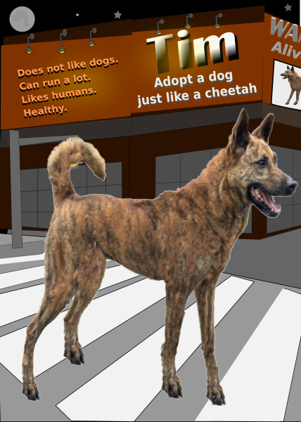 steve_dog_poster_rect.png steve_dog_poster_rect.png