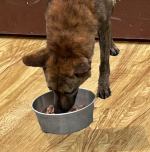 thin3-3.png thin3-3.png