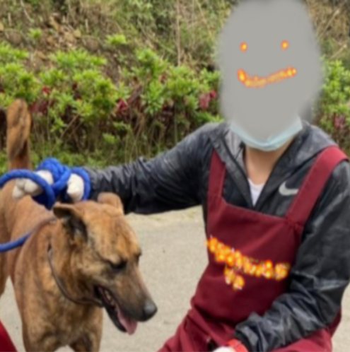 thin3-2.png thin3-2.png