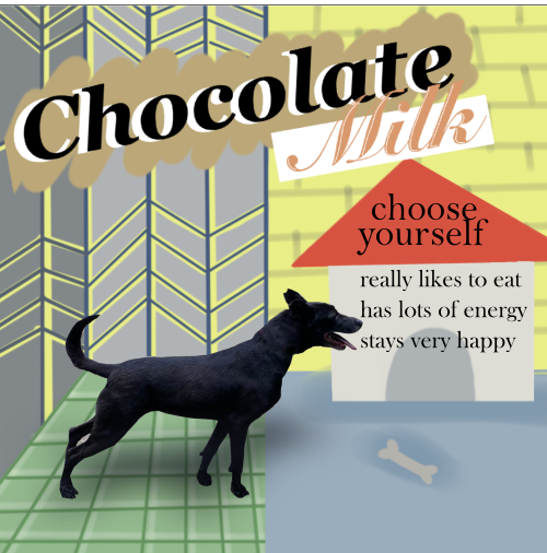 zoey-final-movie-square.png zoey-final-movie-square.png