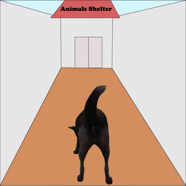 oivia-dog-ig-post-20.png oivia-dog-ig-post-20.png