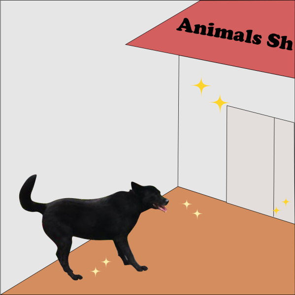 olivia-dg-ig-post-23.png olivia-dg-ig-post-23.png