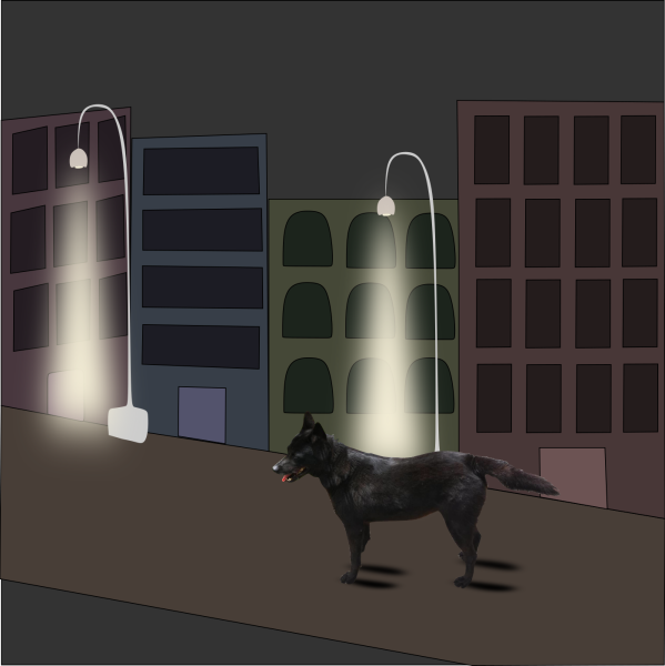 olivia-dog-ig-post-1.png olivia-dog-ig-post-1.png